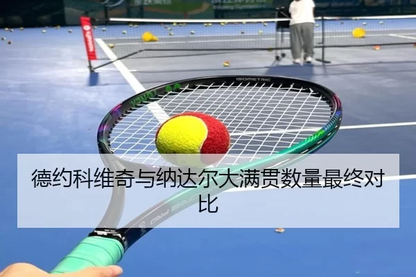 德约科维奇与纳达尔大满贯数量最终对比